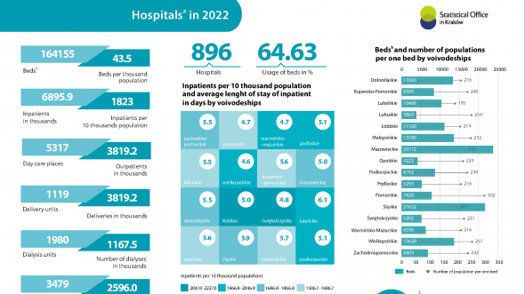 Hospitals in 2022 r. - Infographics