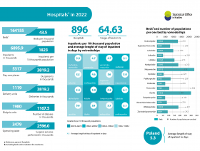 Hospitals in 2022 r. - Infographics