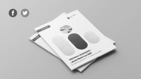 Statistical guidebook – city of Nowy Sącz 2020