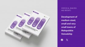 Development of medium-sized, small and very small towns of Małopolskie Voivodship