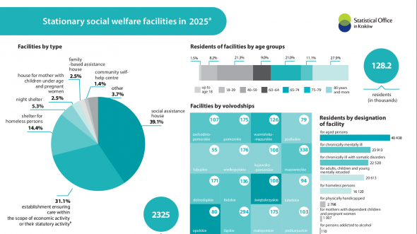Stationary social welfare facilities in 2025