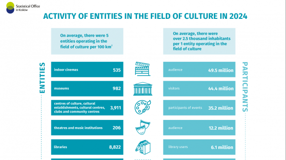 Activitty of entities in the field of culture in 2024