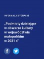 Podmioty działające w obszarze kultury w województwie małopolskim w 2021 r. Foto