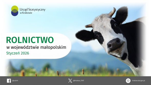 Rolnictwo w województwie małopolskim – infografika danymi z rolnictwa za styczeń 2026