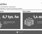 Jabłka w województwie małopolskim w 2024 Foto