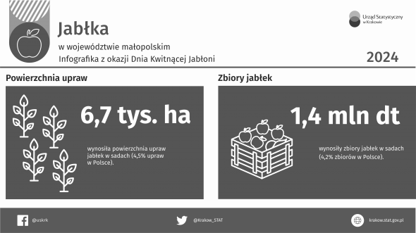Jabłka, infografika z okazji Dnia Kwitnącej Jabłoni