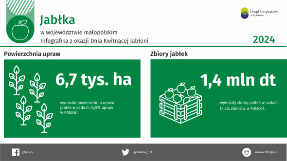 Jabłka, infografika z okazji Dnia Kwitnącej Jabłoni