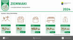Ziemniaki w województwie małopolskim w 2024 r. Foto