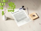 Komunikat o sytuacji społeczno-gospodarczej województwa małopolskiego we wrześniu 2024 r. Foto