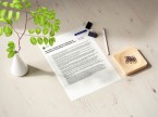 Komunikat o sytuacji społeczno-gospodarczej województwa małopolskiego w listopadzie 2024 r. Foto