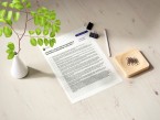 Komunikat o sytuacji społeczno-gospodarczej województwa małopolskiego w lipcu 2025 r. Foto
