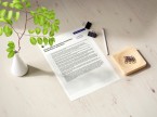 Sytuacja społeczno-gospodarcza województwa małopolskiego w czerwcu 2026 r. Foto