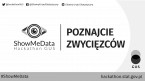POZNAJCIE ZWYCIĘZCÓW ShowMeData Hackathon GUS Foto