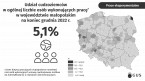 Cudzoziemcy wykonujący pracę w Polsce w 2022 roku Foto